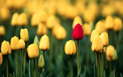 8 Rules for Branding Your Business